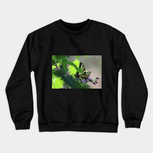 Monarch Butterfly on Lilac Bush Crewneck Sweatshirt